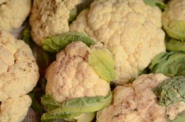 Taze karnabahar desen