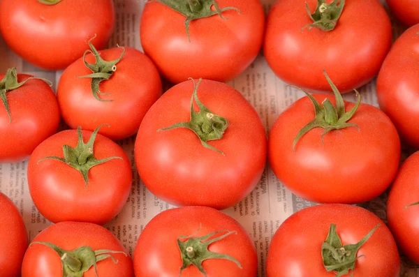 Foto de padrão de tomates muito frescos — Fotografia de Stock