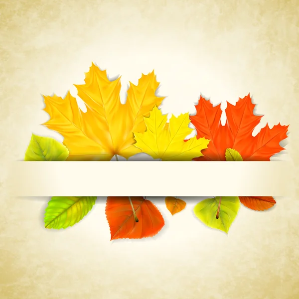 Hojas de otoño sobre fondo de papel rayado — Vector de stock