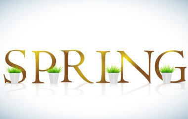 saksıları ile arka plan bahar.