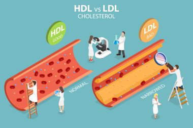 3D Isometric Dlat Vektör HDL v. LDL Kolesterolünün Kavramsal İllüstrasyonu