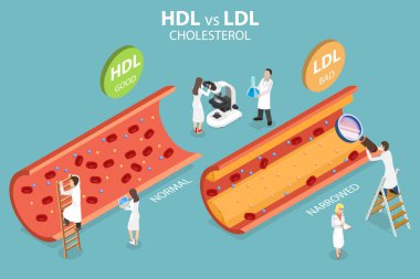 3D Isometric Flat Vector Conceptual Illustration of HDL Vs. LDL Cholesterol clipart