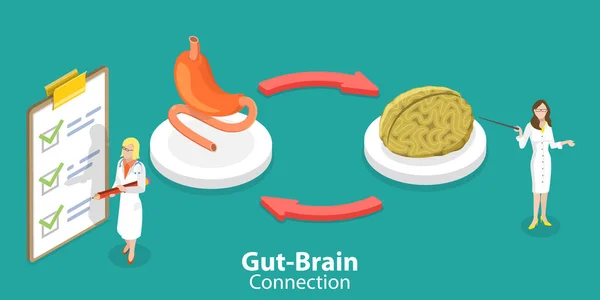 Ilustración conceptual del vector plano isométrico 3D de la conexión del cerebro del intestino — Archivo Imágenes Vectoriales