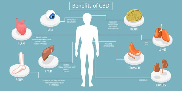 Ilustração conceitual do vetor plano isométrico 3D dos benefícios do CBD — Vetor de Stock