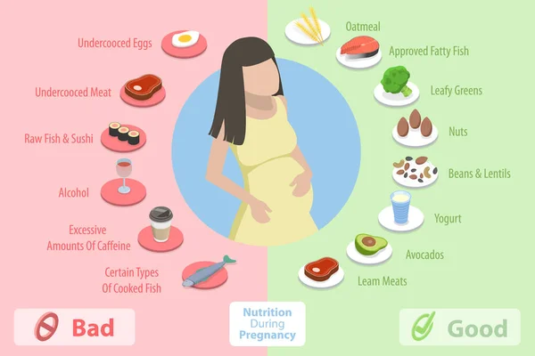 3D Isometrischer Flat Vector Konzeptuelle Illustration der Ernährung während der Schwangerschaft — Stockvektor