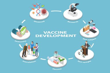 3D Isometric Düz Vektör Aşı Geliştirme, Klinik İnceleme Evrelerinin Kavramsal Resmedilmesi