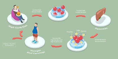 3D Isometric Flat Vector Conceptual Illustration of Insulin Resistance Syndrome, Educational Outline Diagram