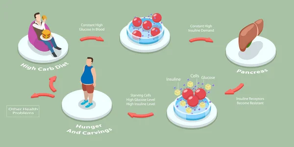 Isometric Flat Vector Conceptual Illustration Insulin Resistance Syndrome Educational Outline — Stockový vektor