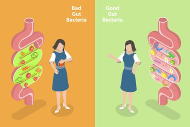 3D Isometric Düz Vektör İyi ve Kötü Bağırsak Bakterilerinin Kavramsal İllüstrasyonu, Gut Flora, Sindirim Traktı Mikroorganizmaları