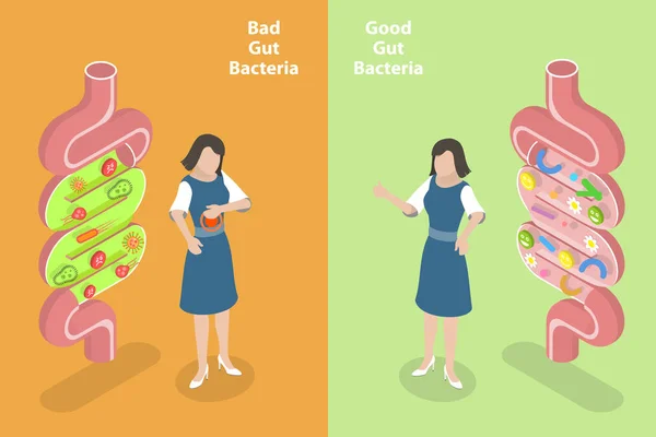 Ilustración Conceptual Vectores Planos Isométricos Bacterias Del Intestino Buenas Malas — Vector de stock