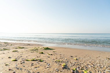 Açık güneşli bir günde kumlu bir sahilde dalgalar akıyor. Arka planda şehir