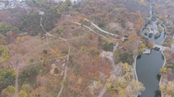 Sonbaharda Şehir Parkında Yürüyüş Patikalar Yaprak Parkta Düşer Sonbahar Gölü — Stok fotoğraf