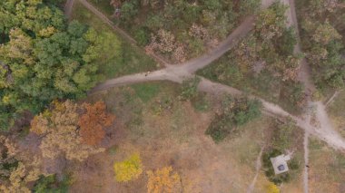 Sonbaharda şehir parkında yürüyüş ve patikalar. Yaprak parkta düşer. Hava görünümü.
