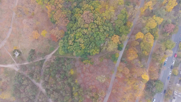 Sonbaharda şehir parkında yürüyüş ve patikalar. Yaprak parkta düşer. Hava görünümü. — Stok fotoğraf