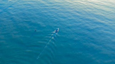 Yazın deniz suyu ve tekne manzarası.