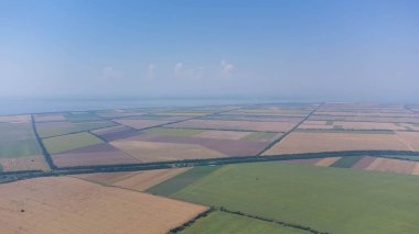 Yazın hasattan sonra deniz kenarında buğday tarlası. Hava görünümü