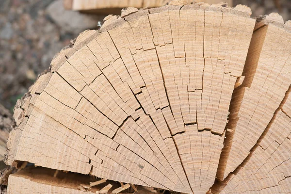 A dry butt cut of a tree trunk, cracked along the growth rings. Stump