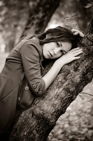 Alone in the forest — Stock Photo, Image