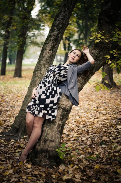 Allein im Wald — Stockfoto