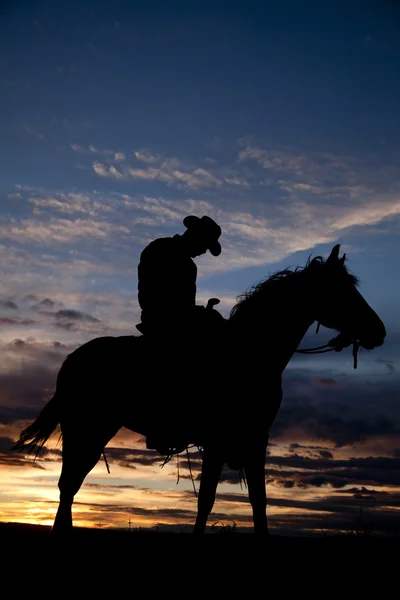 Trött cowboy på häst — Stockfoto