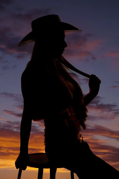 Kvinna cowgirl håll hår siluett — Stockfoto