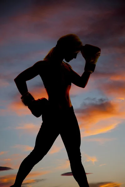 Silhouette boxer hand head — Stock Photo, Image