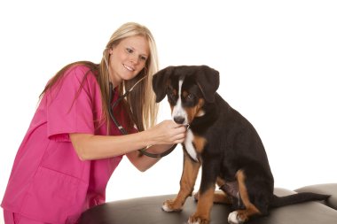 köpek kadınla hayvan hastalıklarıyla ilgili