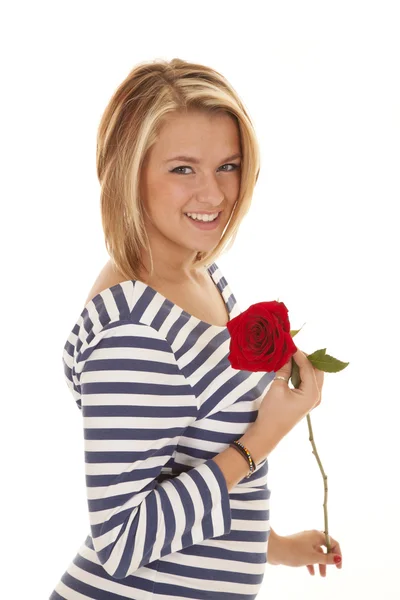 Glad rose — Stockfoto