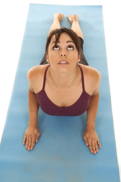 Woman fitness up dog from above — Stock Photo, Image