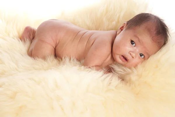 Oriental baby laying on a fur rug — Stock Photo, Image