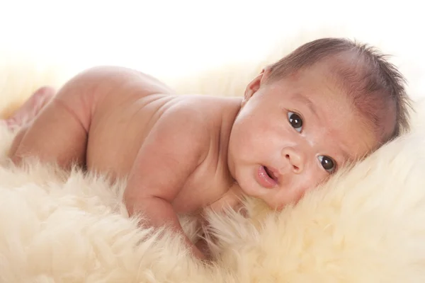 Oriental baby laying on a fur rug — Stock Photo, Image