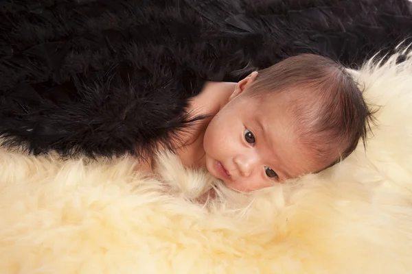 Bebê deitado em um tapete de pele com suas asas de anjo preto — Fotografia de Stock