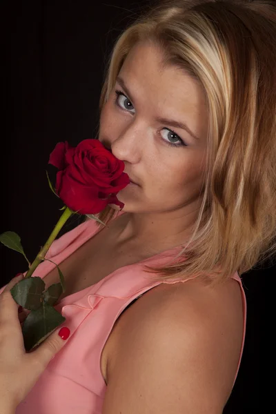 Rose by nose — Stock Photo, Image