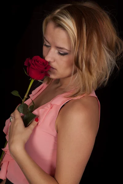 Rose geur zwart — Stockfoto