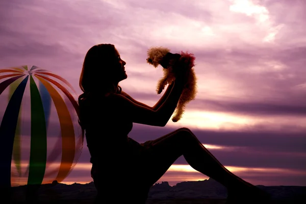 Silhouet hond strandbal — Stockfoto