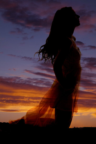 A silhouette of a woman in a dress kneeling down.