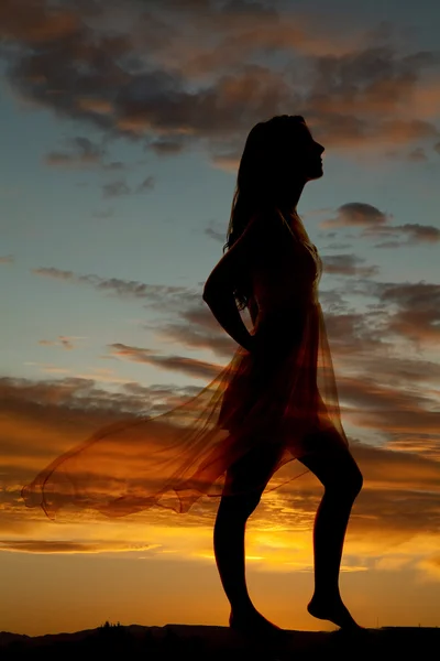 Kadın silueti elbise darbe yan bakmak — Stok fotoğraf