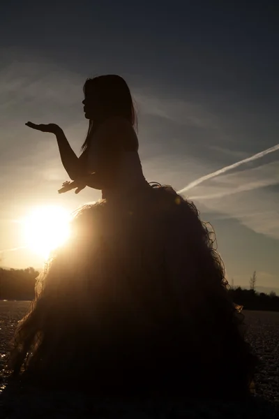 Silhouette formal ice hand up — Stock Photo, Image