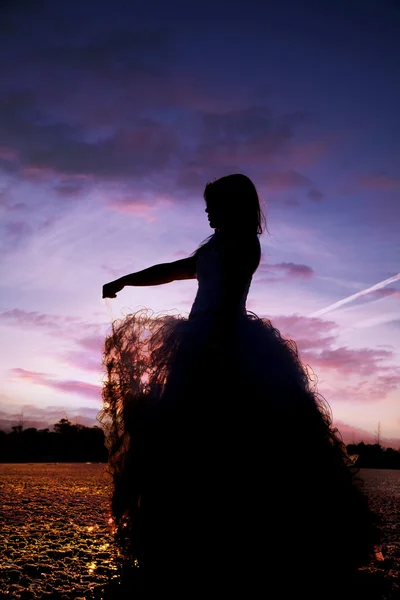 Silhueta formal gelo lado segurar vestido — Fotografia de Stock