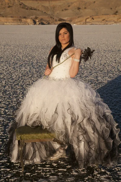 Mulher vestido formal banco de flor de gelo sério — Fotografia de Stock