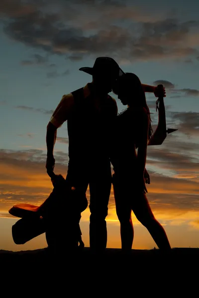 silhoeutte kovboy Hint eyer