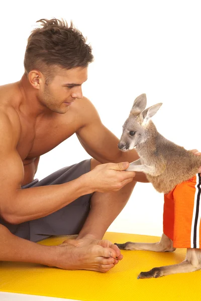 Man no shirt shake hand with kangaroo — Stock Photo, Image
