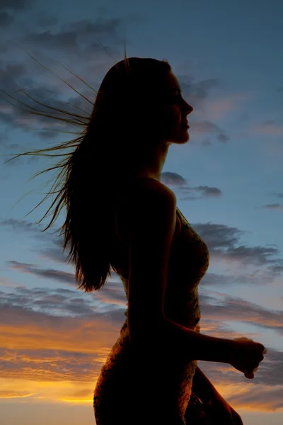 Silhouette woman close hair blowing — Stock Photo, Image