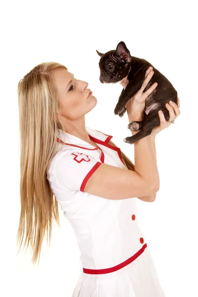 Nurse with small dog hold side — Stock Photo, Image