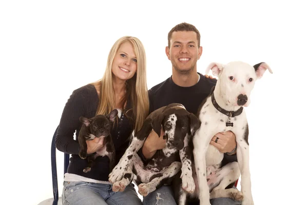 Cães familhy sentar perto sorriso — Fotografia de Stock