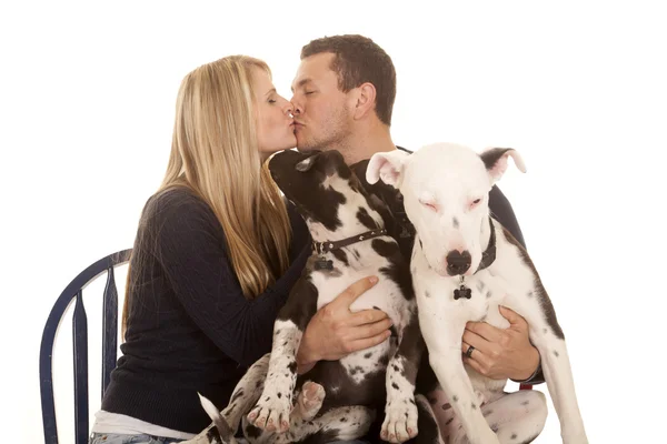 Familia beso sentarse perros — Foto de Stock