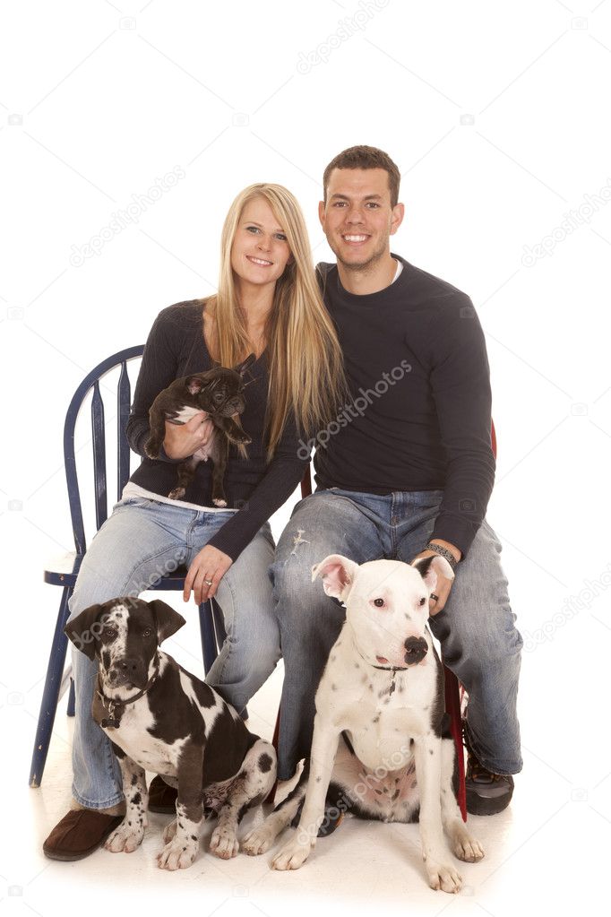 family dogs sit smile