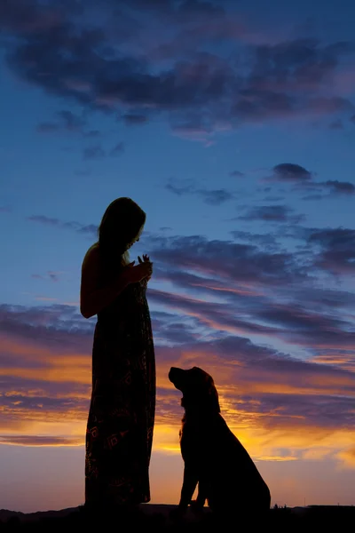 Silueta mujer con perro — Foto de Stock