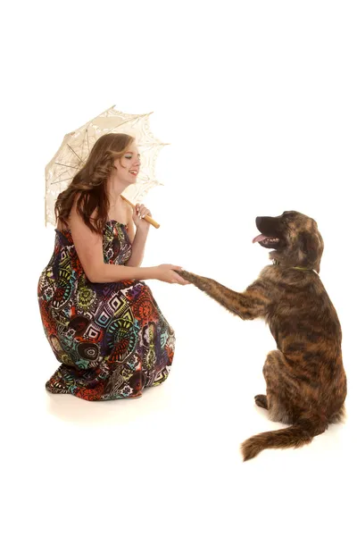 Woman with umbrella shaking dogs paw — Stock Photo, Image