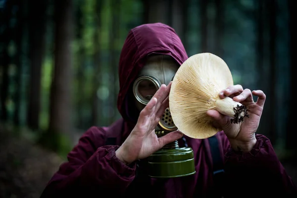 生态多样性 戴防毒面具的末日后幸存者森林里有蘑菇的人 — 图库照片